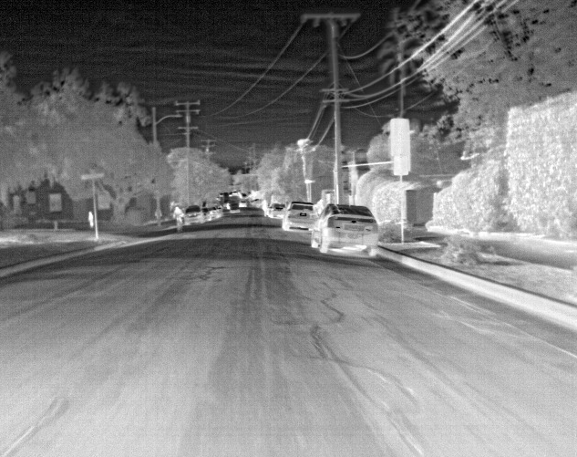 Thermal Vision AI Detection